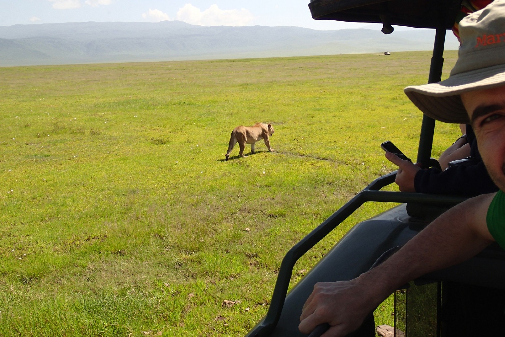Safaris Afrikoje